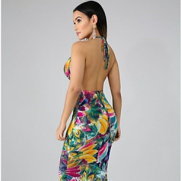 Goodtime Feathers Maxi Dress - Picture 3 of 6